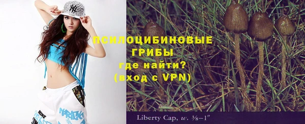 эйфоретик Михайлов