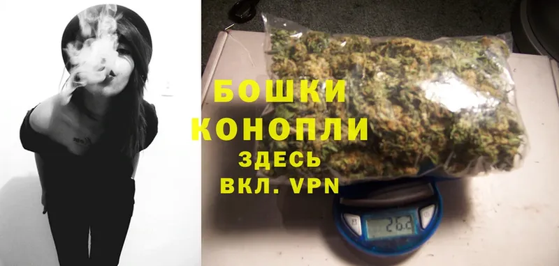 Каннабис OG Kush  Семикаракорск 